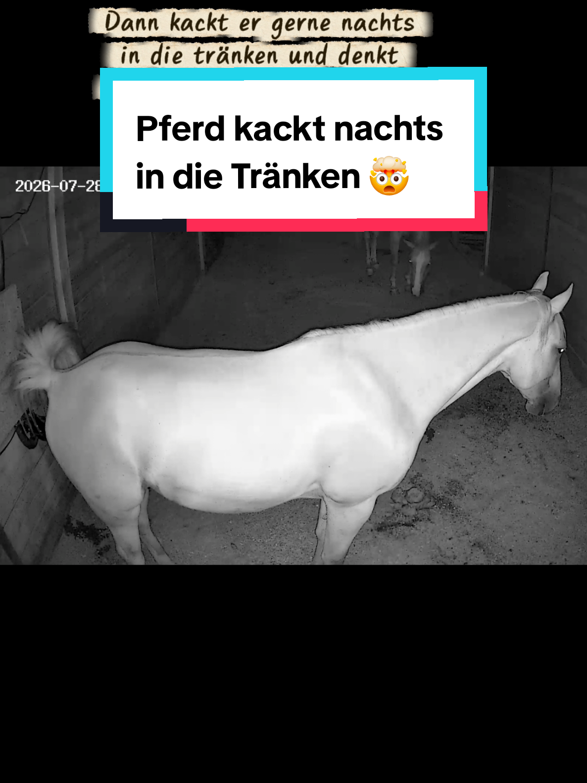 @🤠 Cowboy.HDH