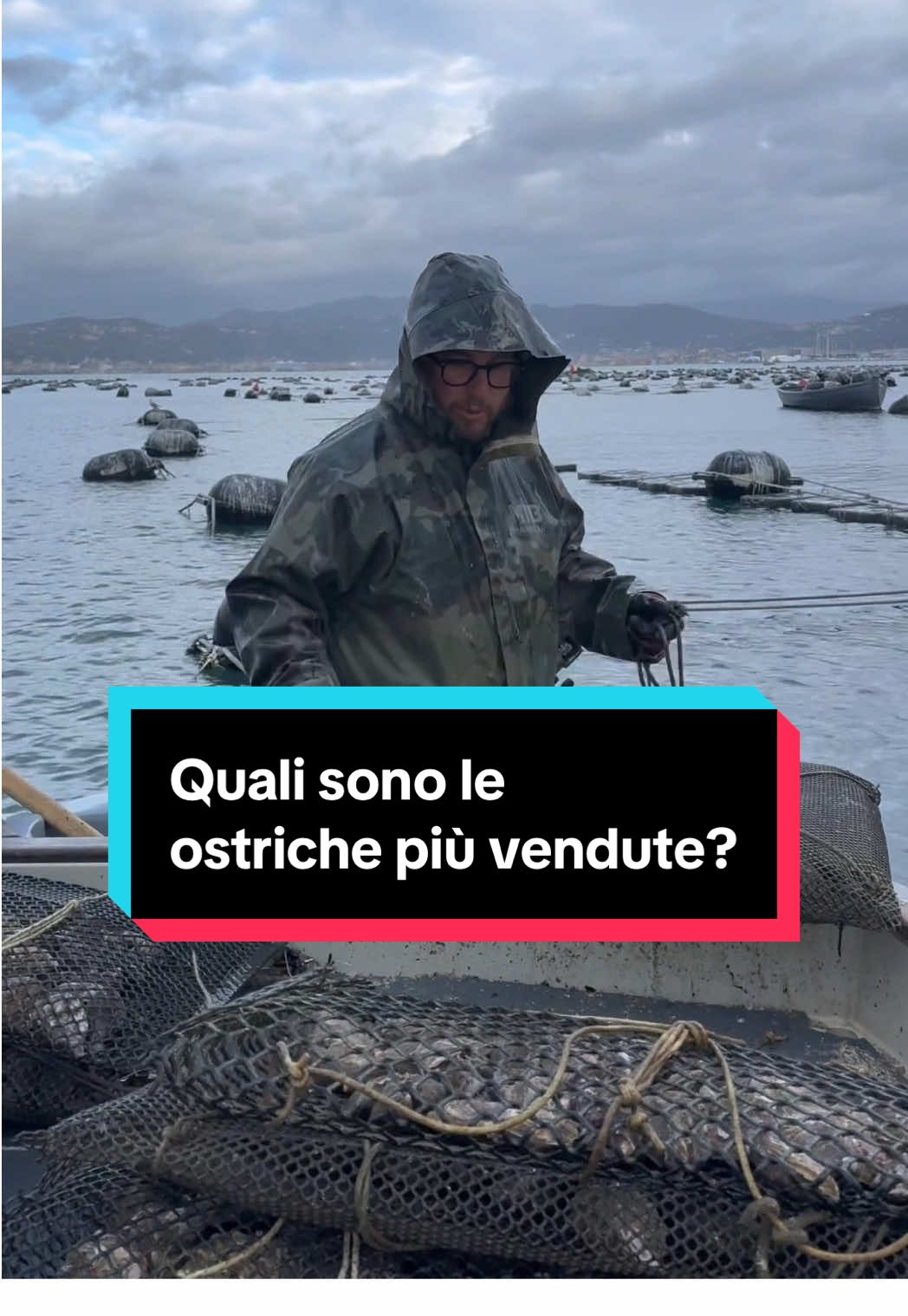 @Mitili&Mitili