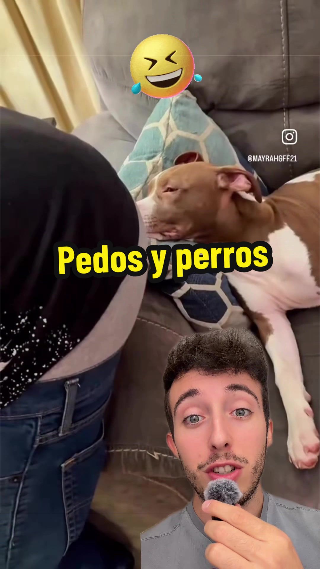 @ivanttops