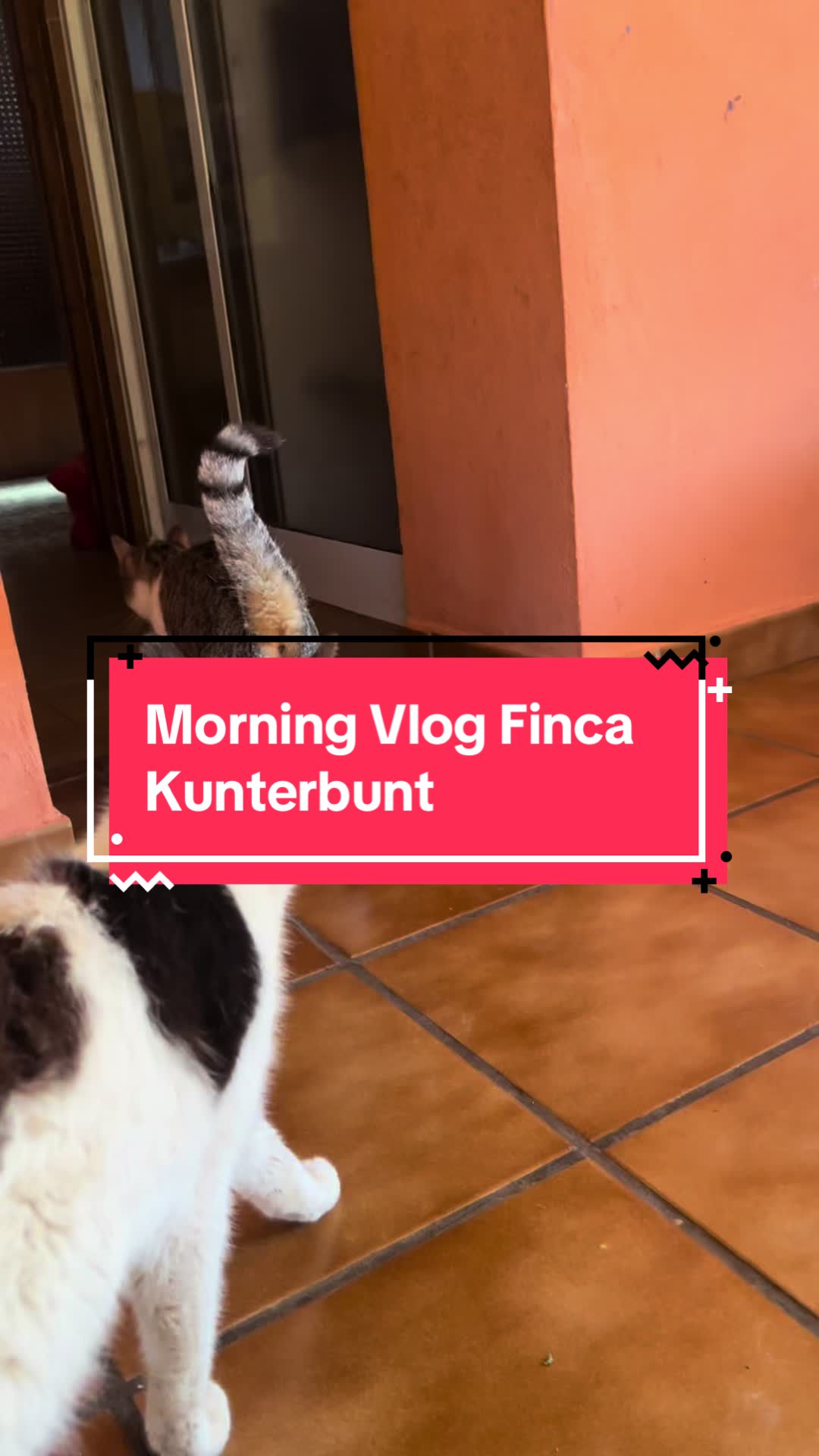 @FincaKunterbunt