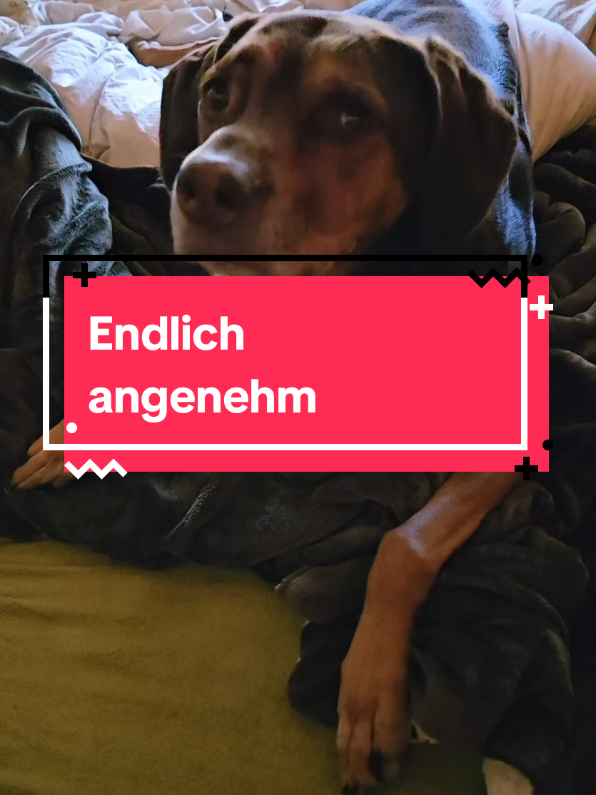 @Paddy und Sally