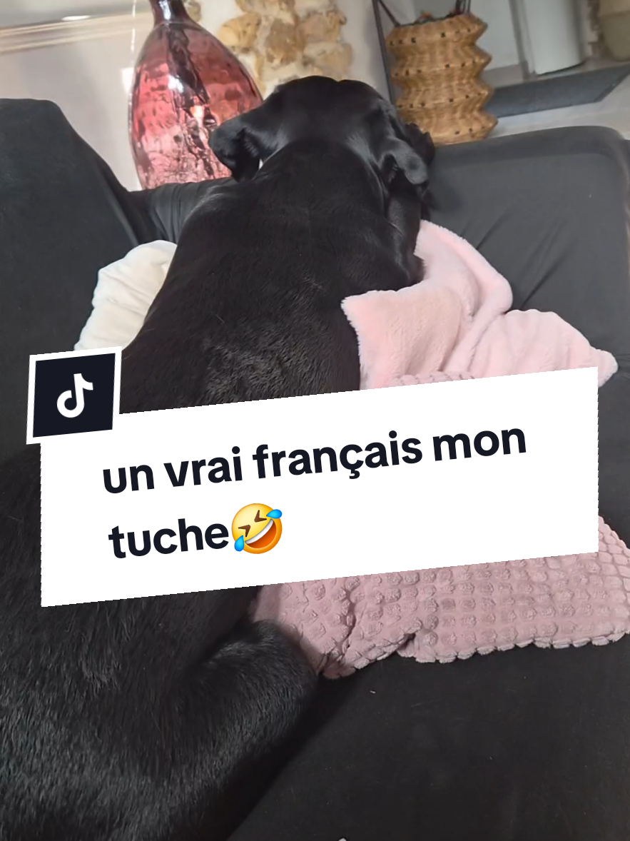 @Battman Batou