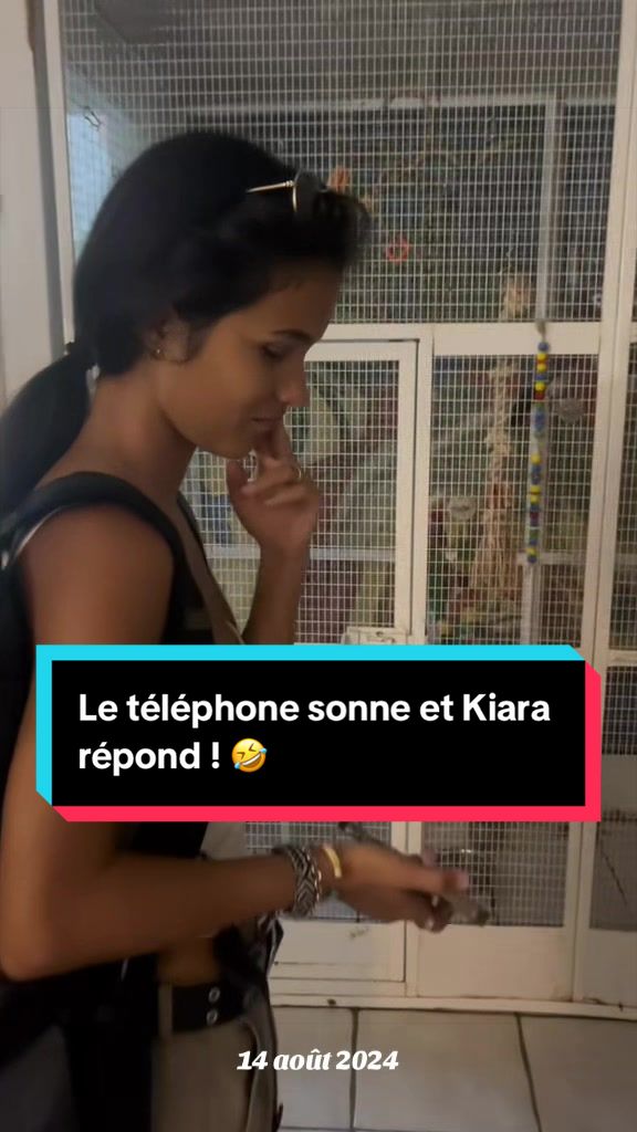 @Diana Torres