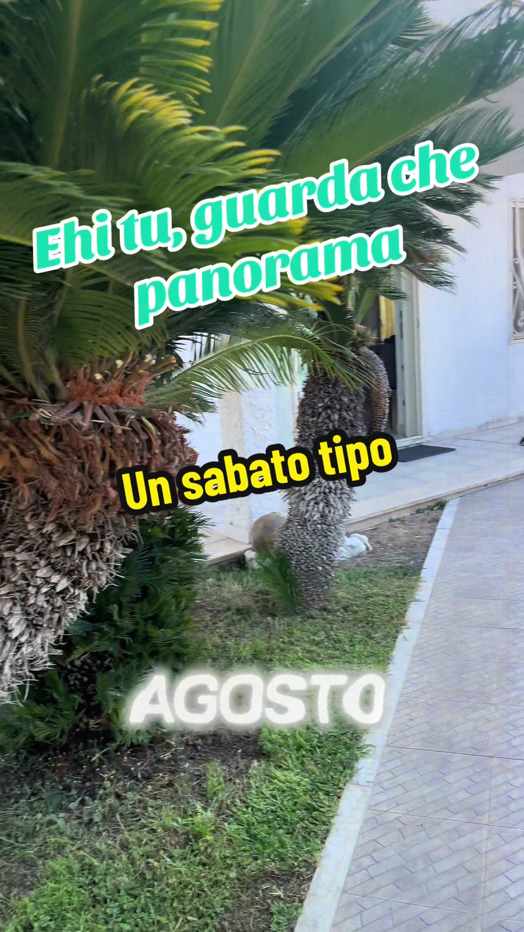 @Alessandro Cuomo ♌️