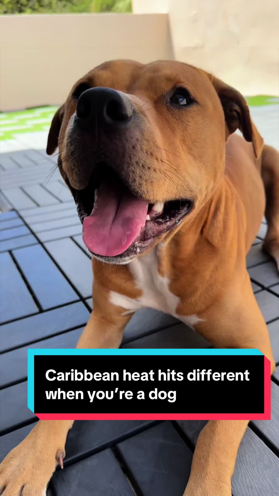 @Kaja & Macho 🥰