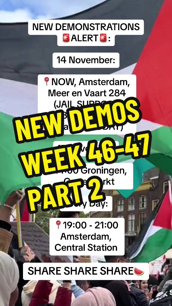 @Gokkie For Palestine