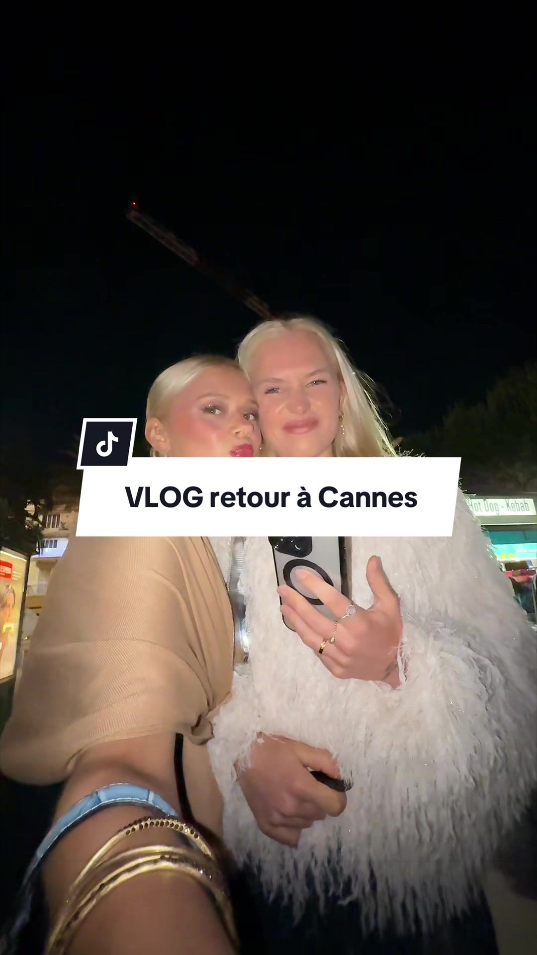 @leoniepapilloon