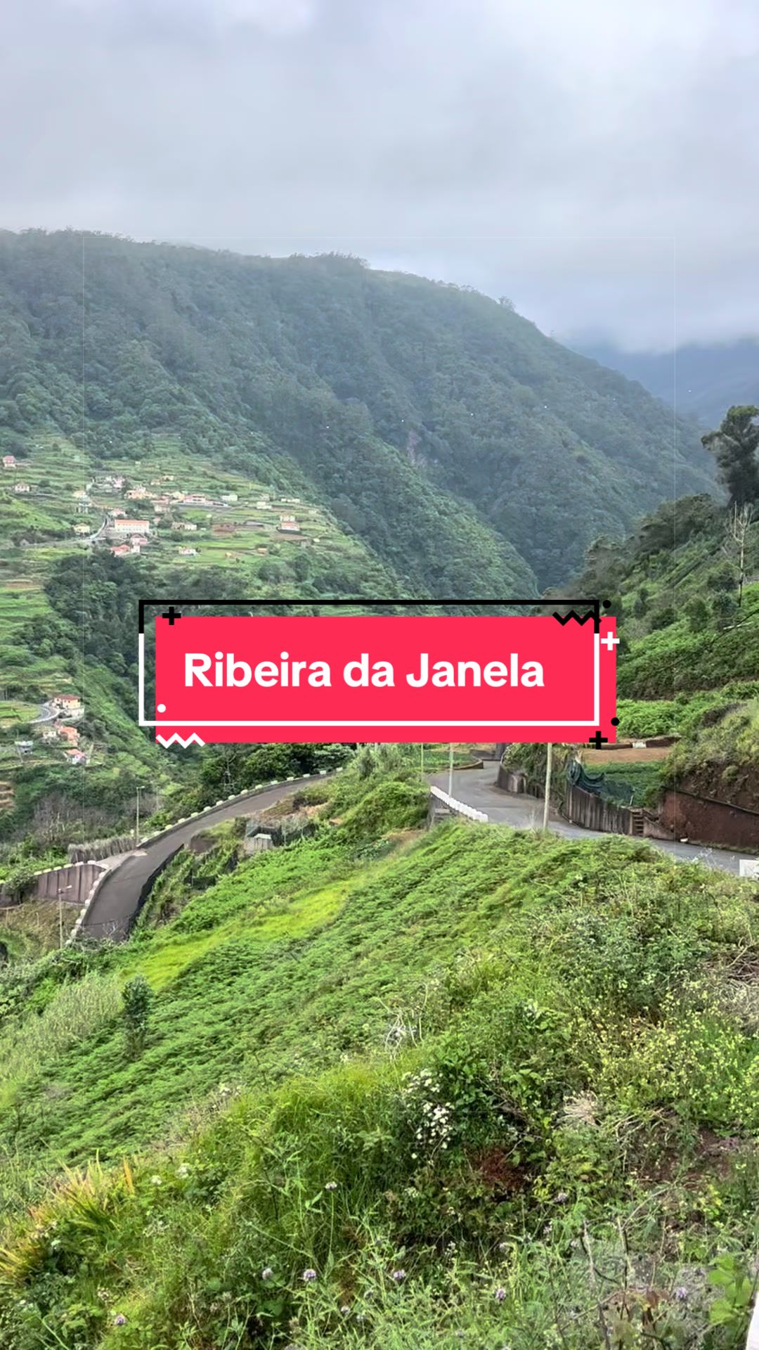 @Graca.Madeira