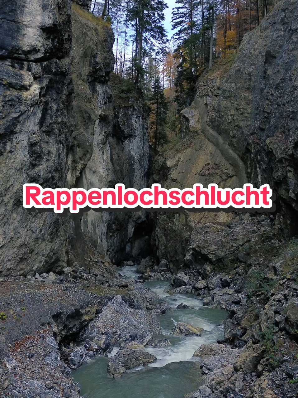 @Am Puls der Natur