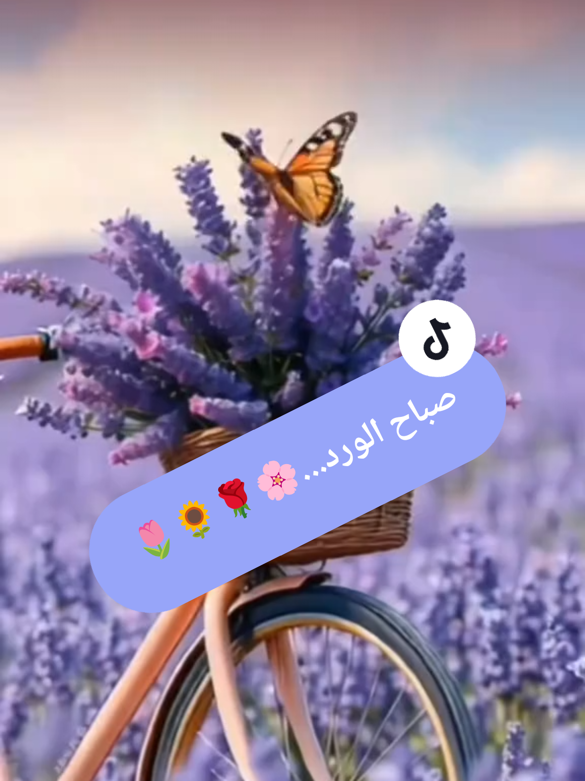 @صدى الصمت 🌸