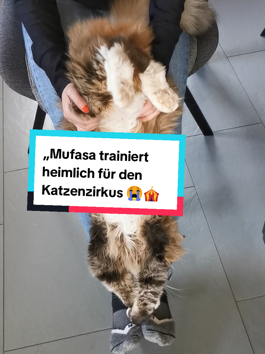 @animalslover
