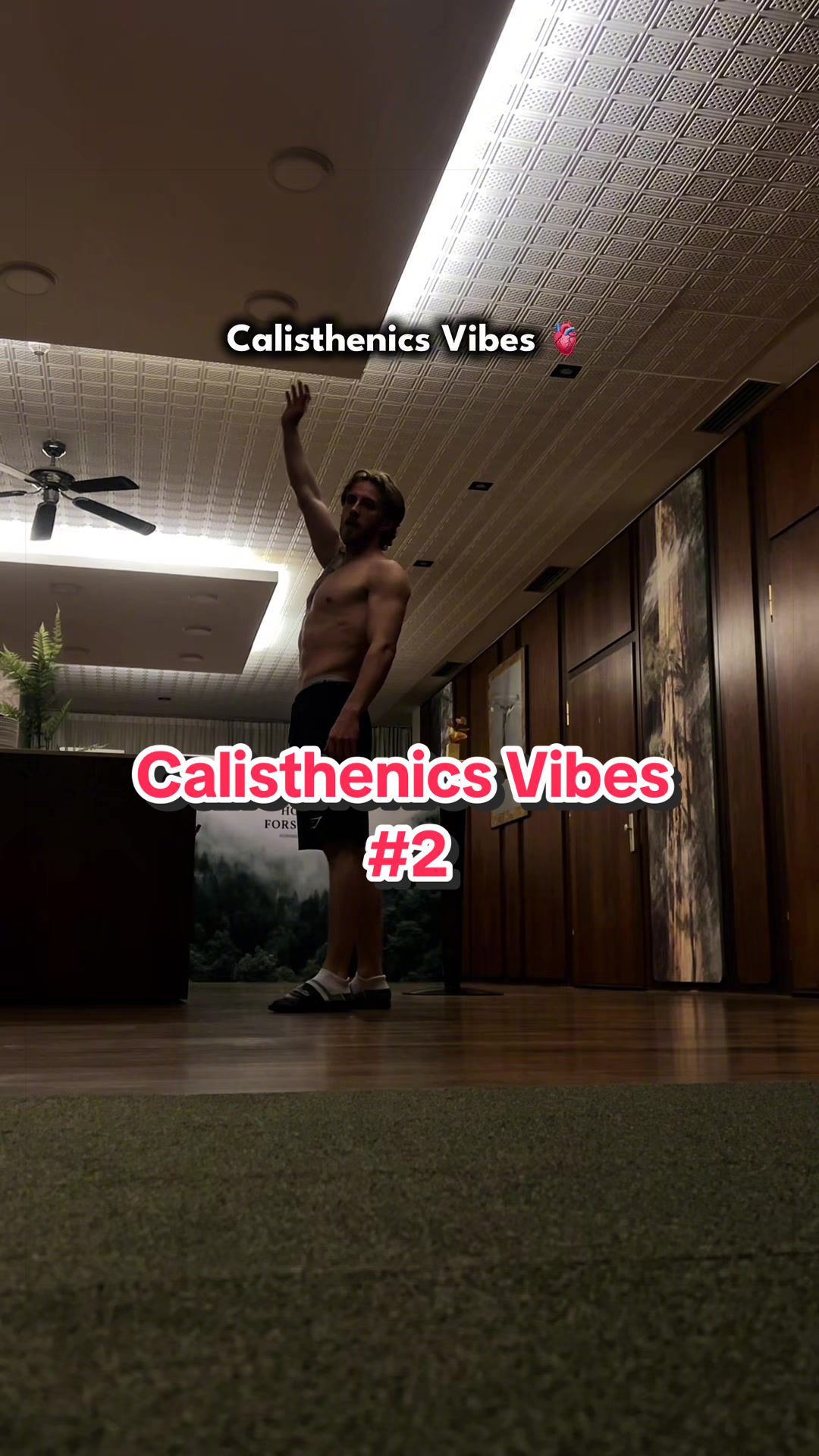 @yungcalisthenics