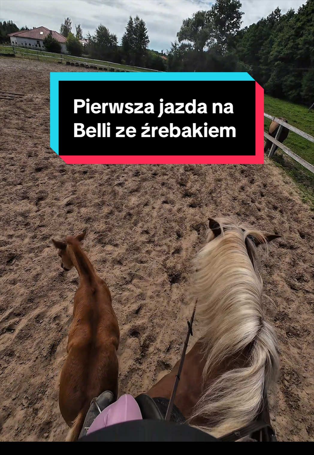 @Stado_Belli