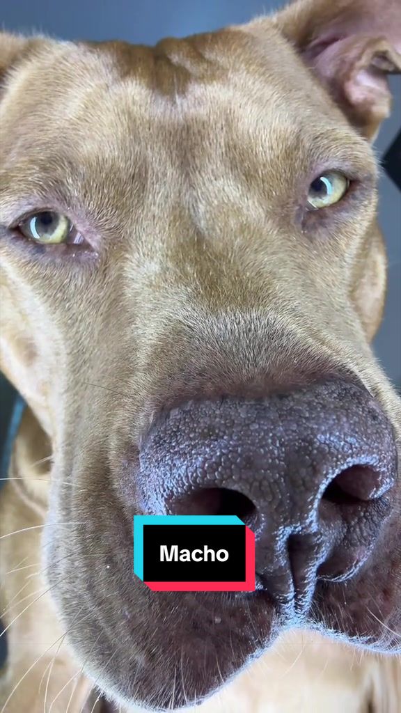 @Kaja & Macho 🥰