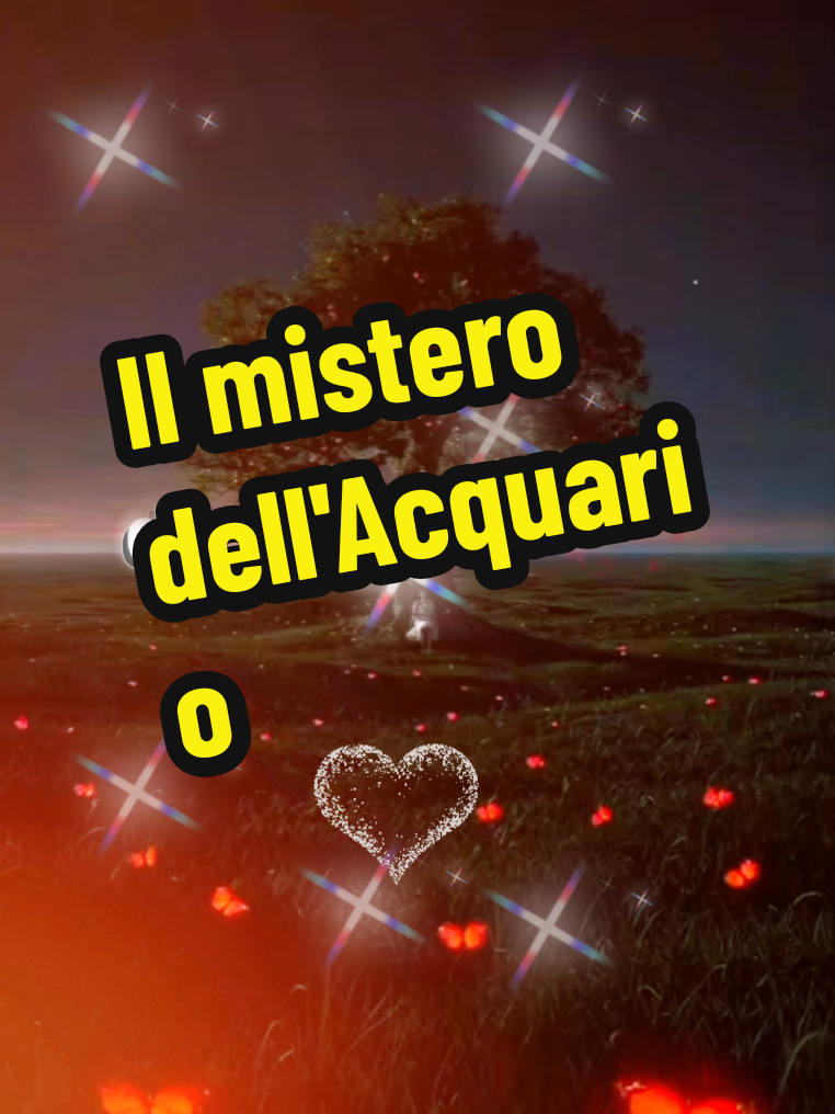 @Sara Simoncelli