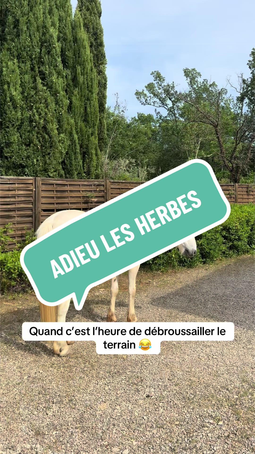 @Salut c’est Marine