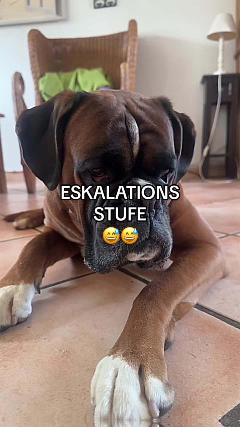 @_𝙱𝙾𝚇𝙴𝚁&ensp;_𝙹𝙲𝙺_