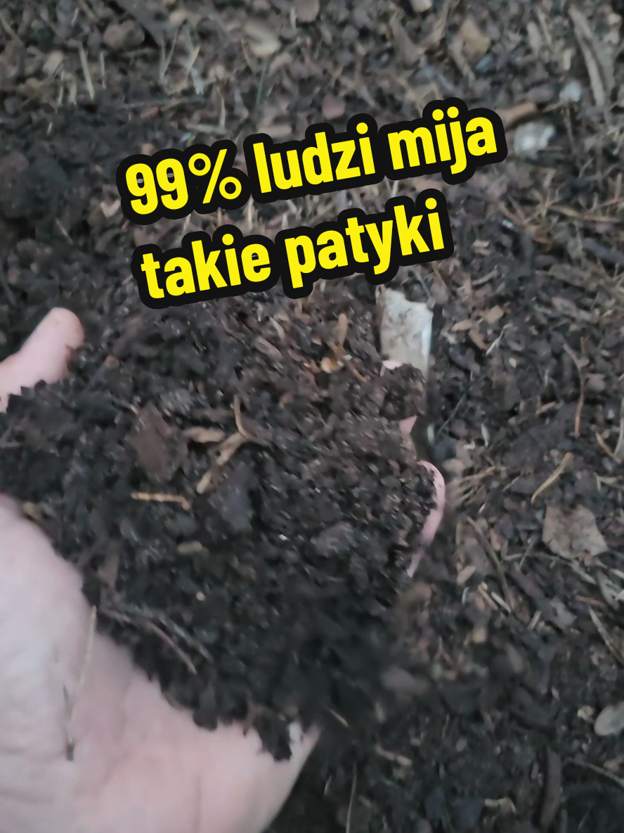 @Warszewski