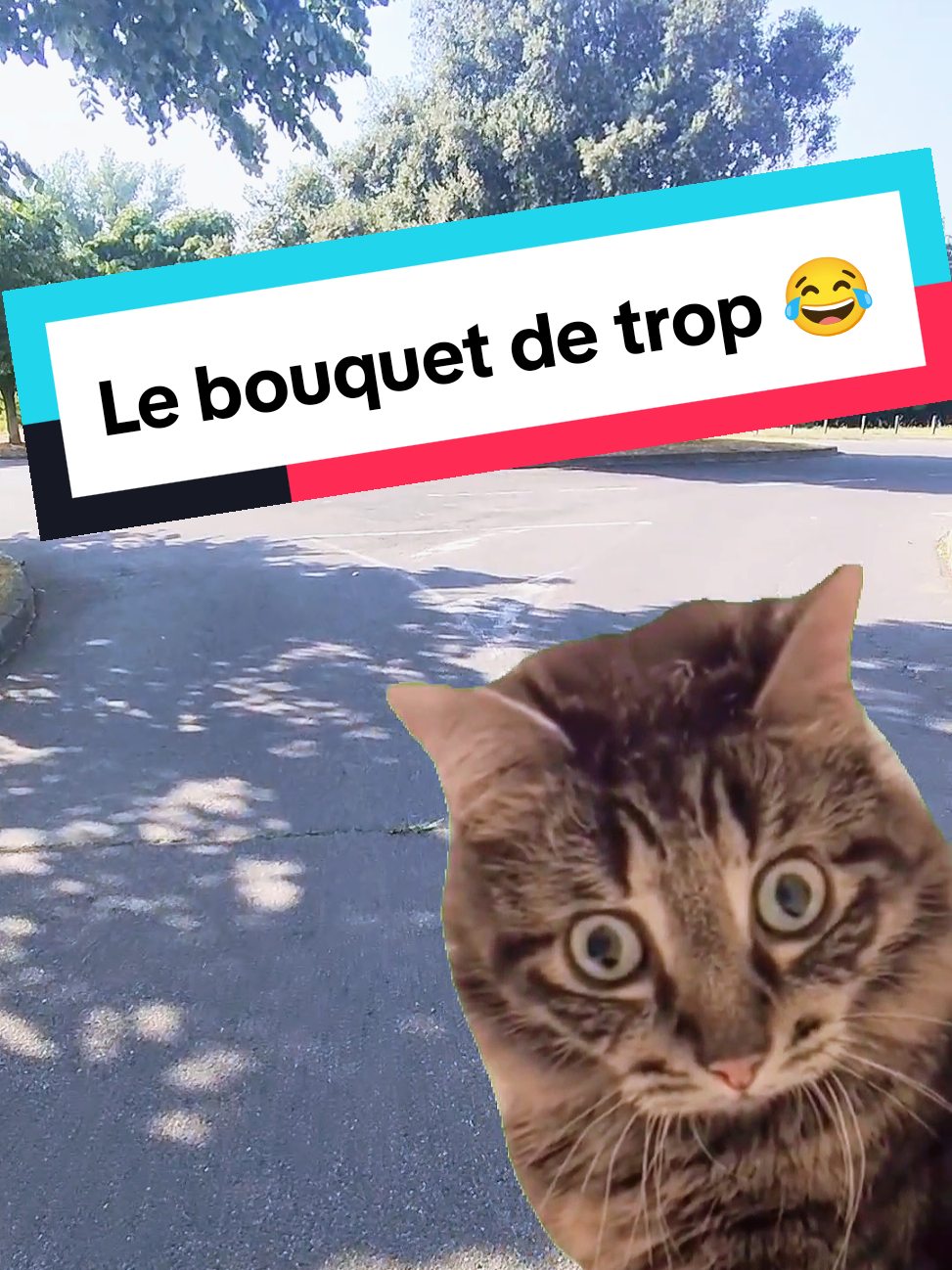 @𝘼𝙣𝙞𝙢𝙖𝙡𝙑𝙞𝙗𝙚