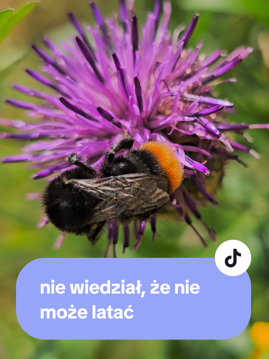 @Biblioteka w Alejach-ZS1 Łuków