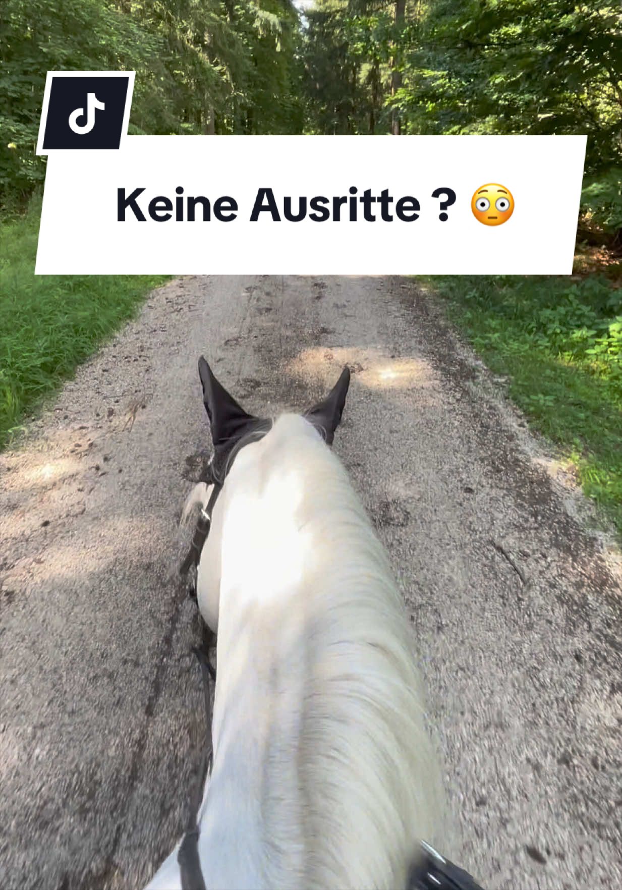 @Sophia &bull; SL Reitschule