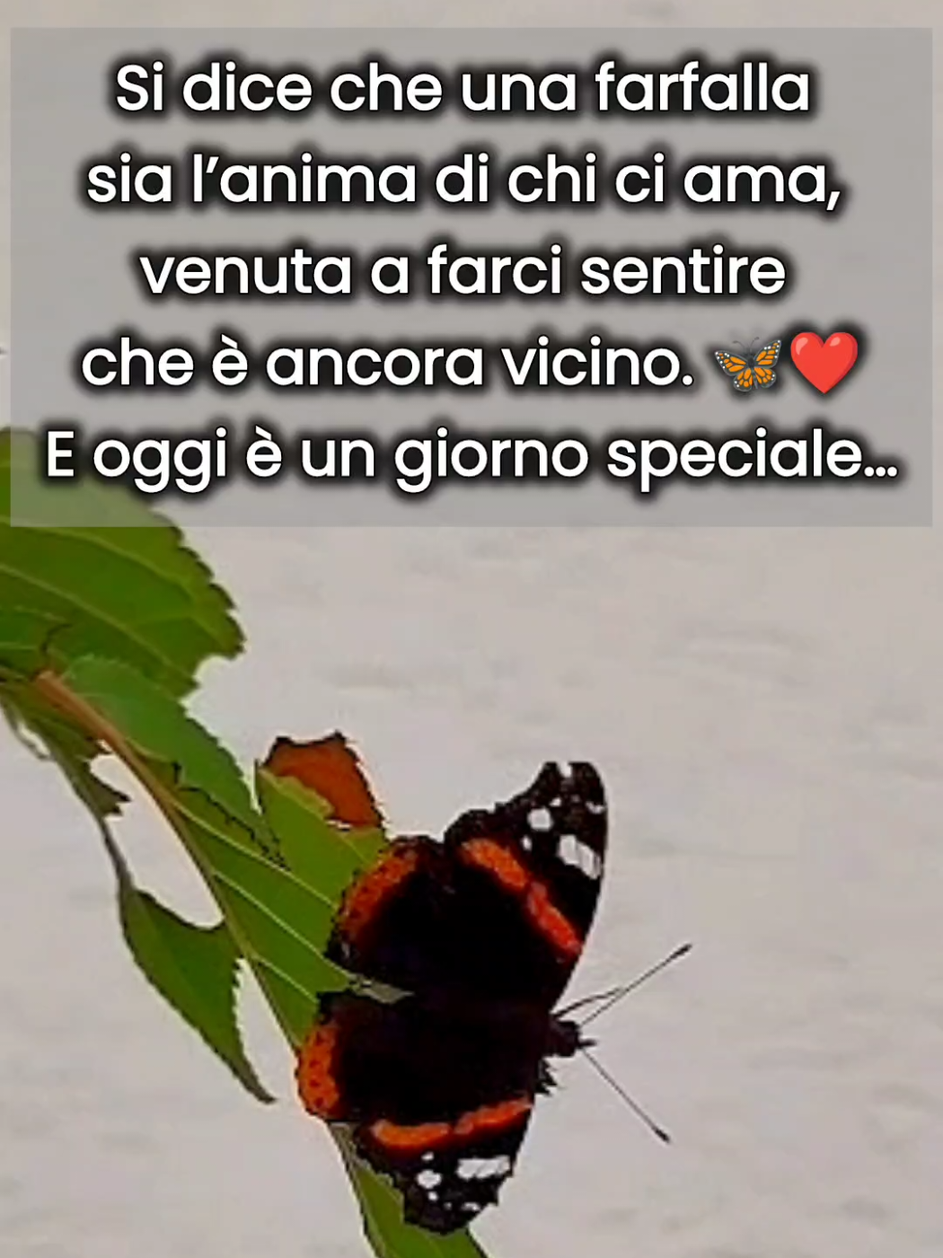 @Anna ❤️❤️