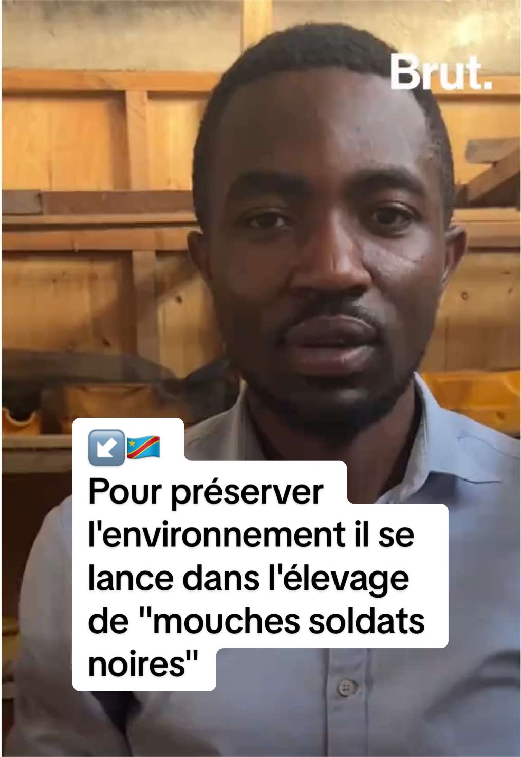 @Brut. Afrique