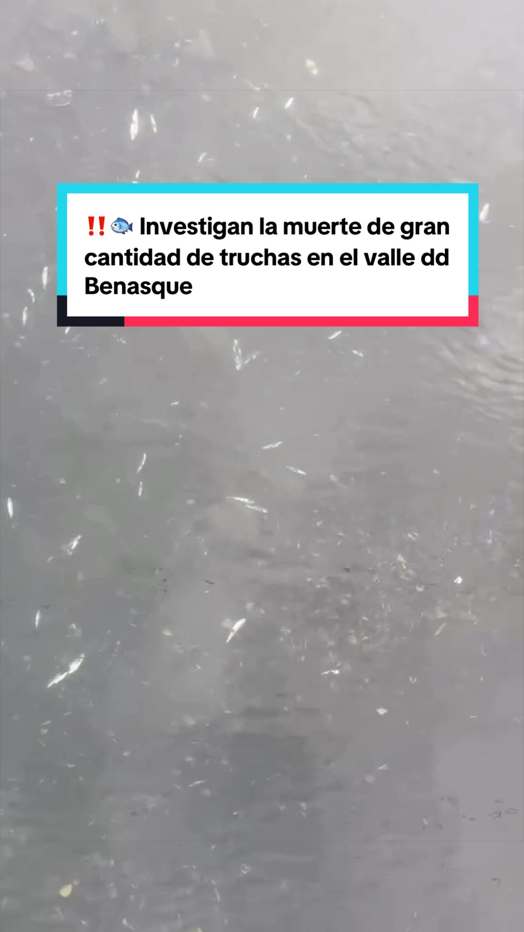 @Heraldo de Aragón - Noticias