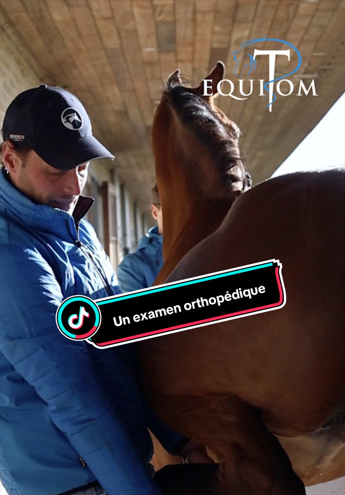 @Equitom