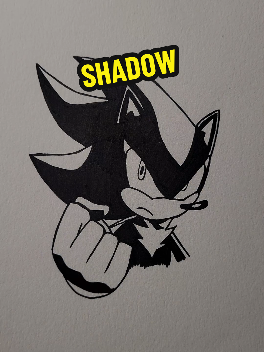 @mgdraw