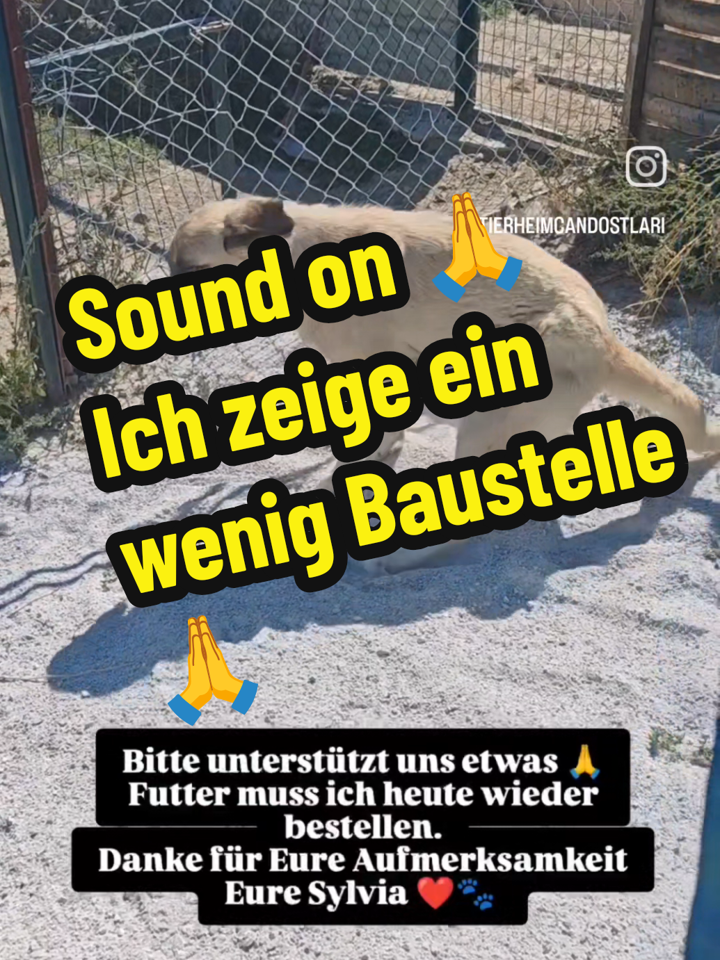 @TSV Candostlari-Beste Freunde