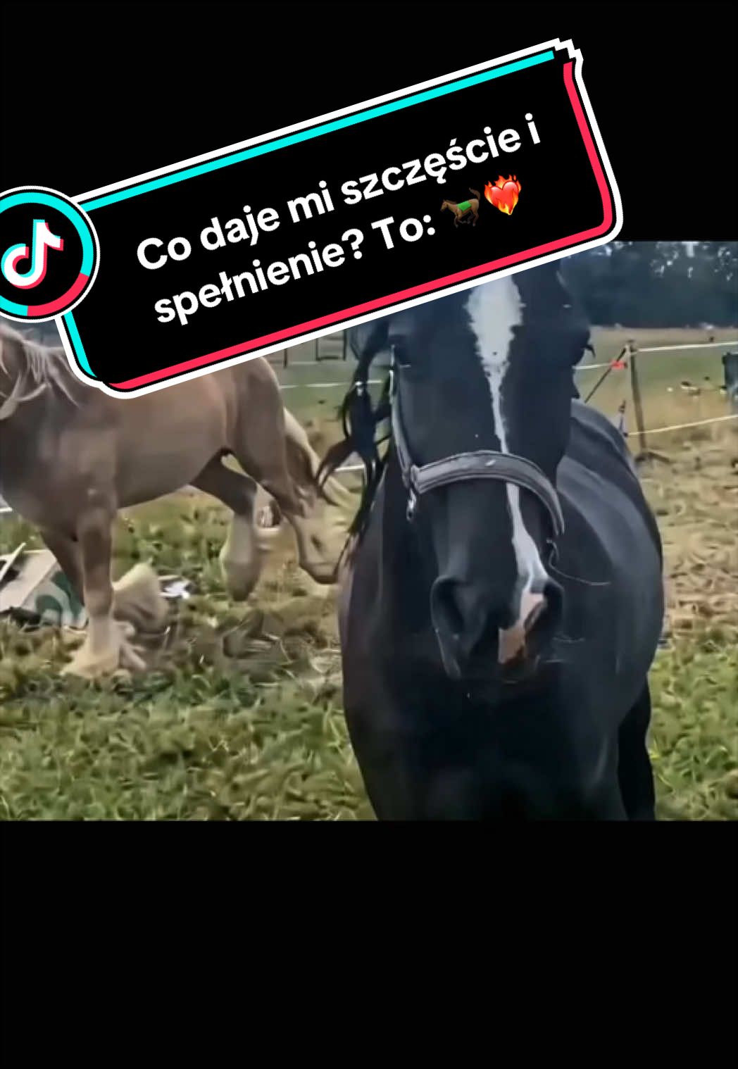@KsiężycowaStajnia.VulkaDollArt