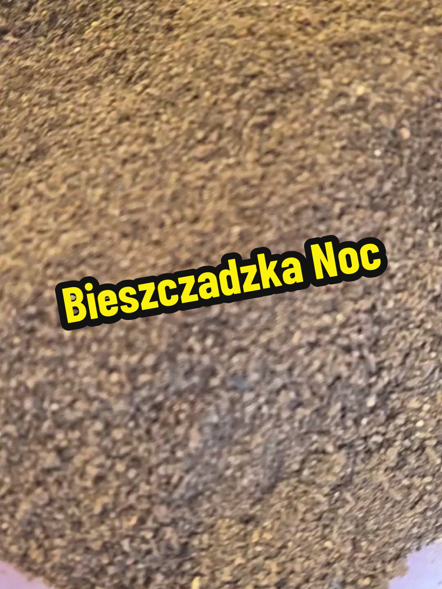 @Ania z Bieszczadzkiej Hecy🇵🇱