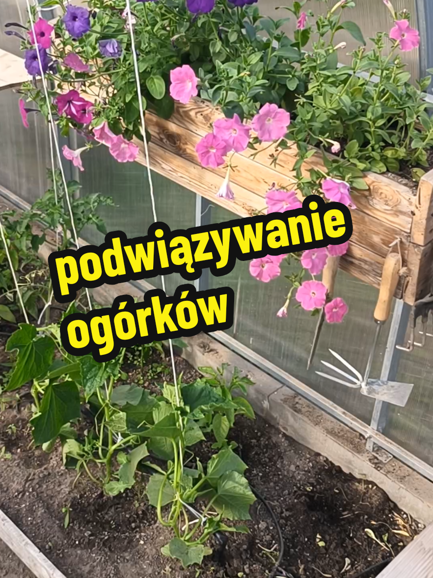 @Marcin ogrodnik