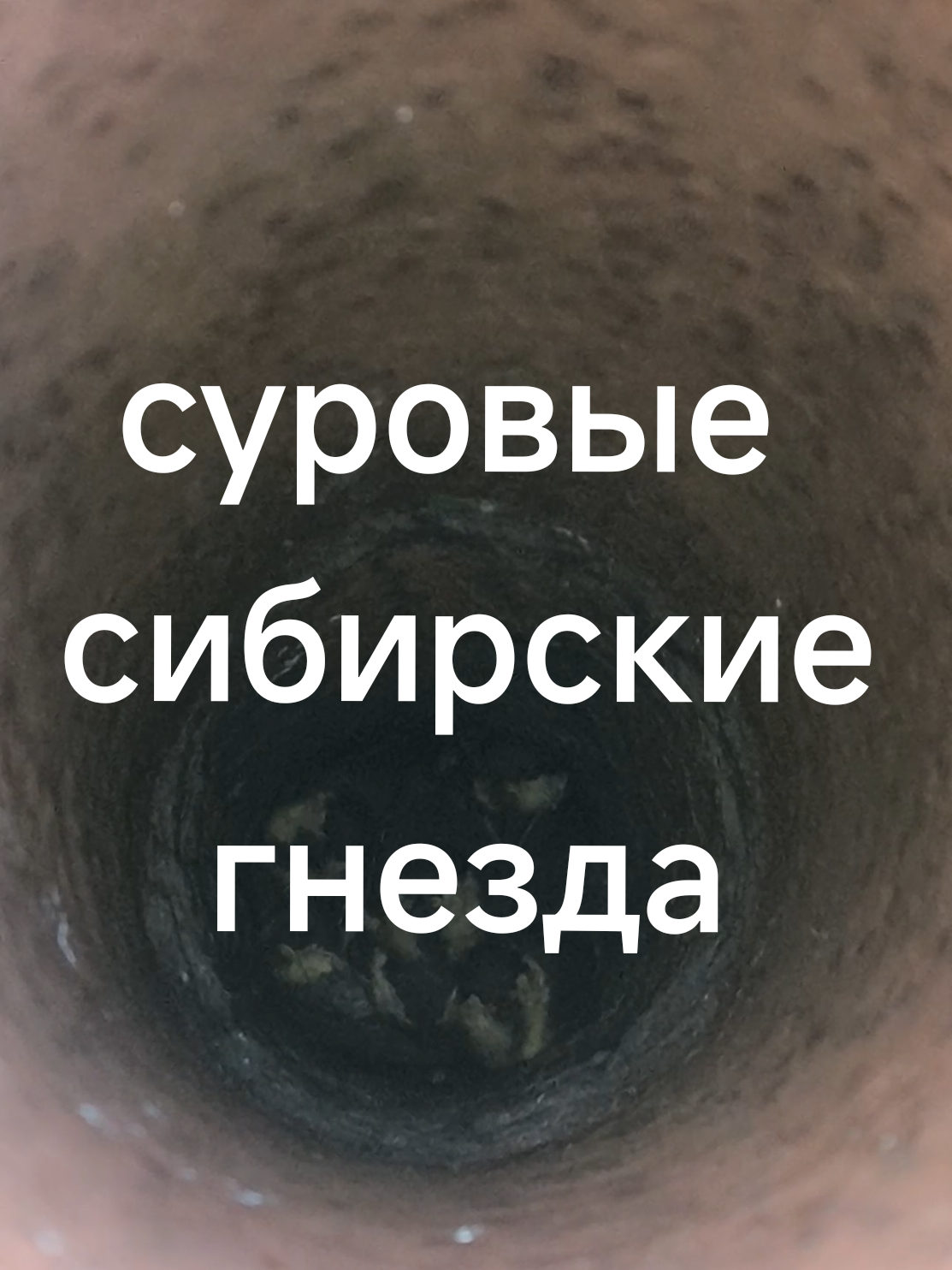 @Женя Садовая