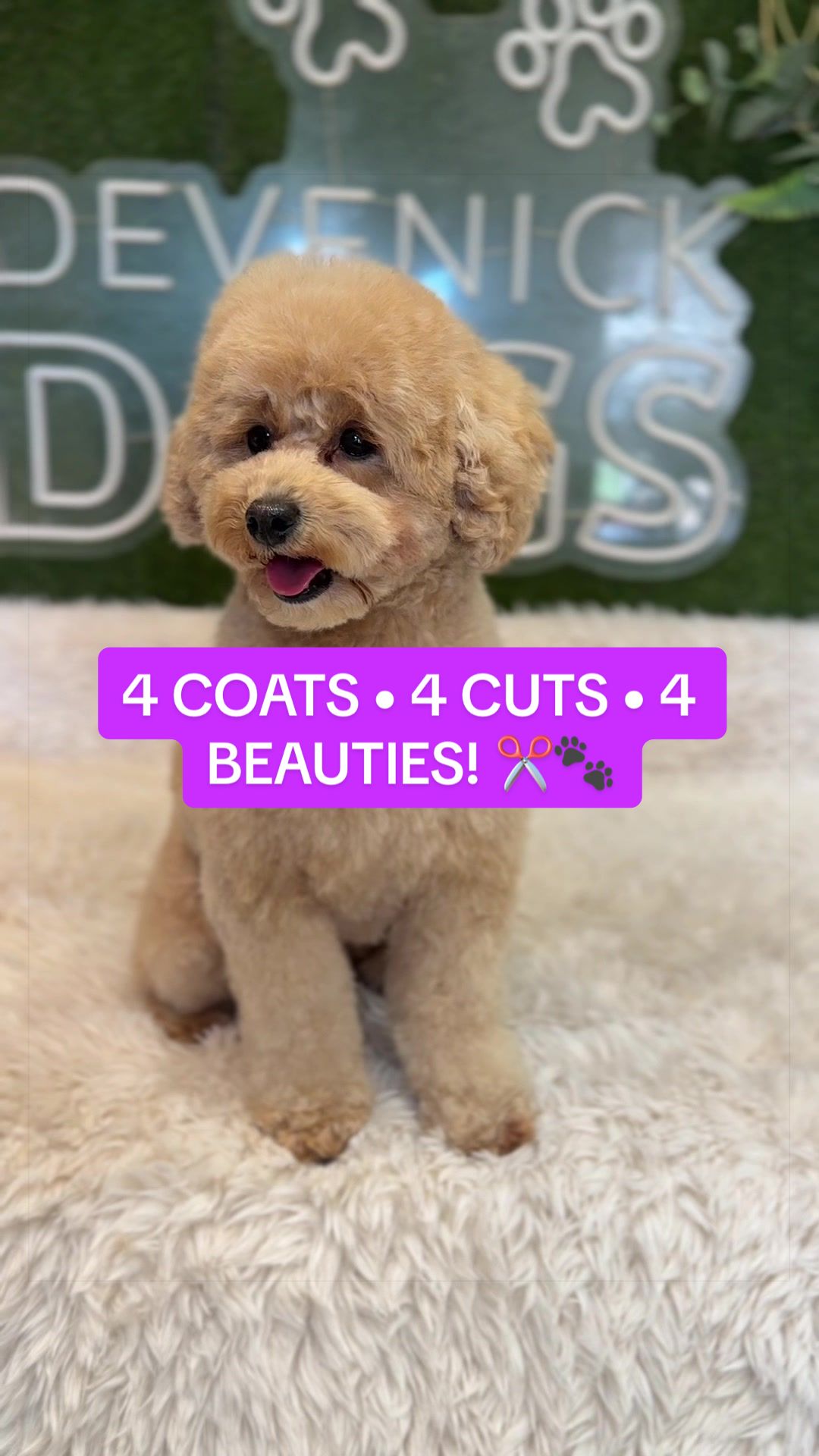 @DevenickDogs