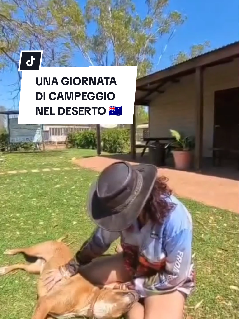 @valentinapetrea_