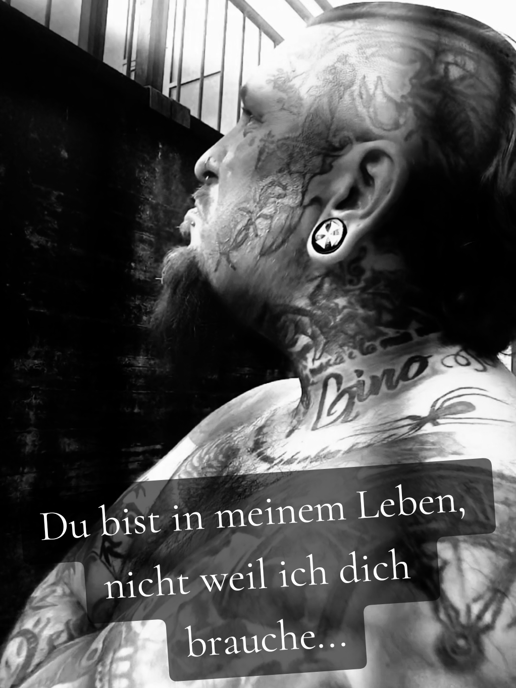 @✠ Saarpfalz-Krieger ✠