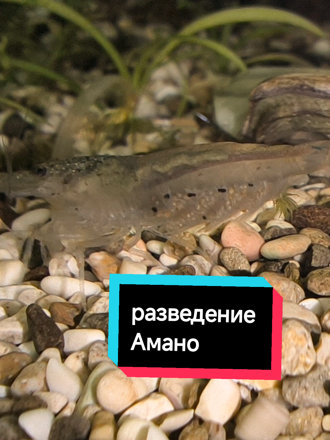 @Женя Садовая