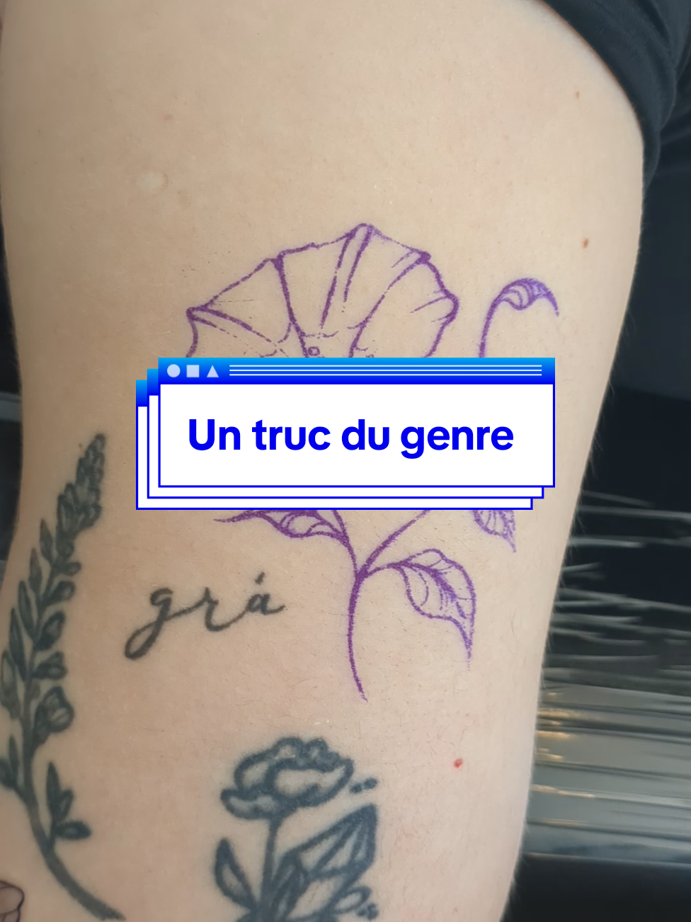 @nelle_ttt