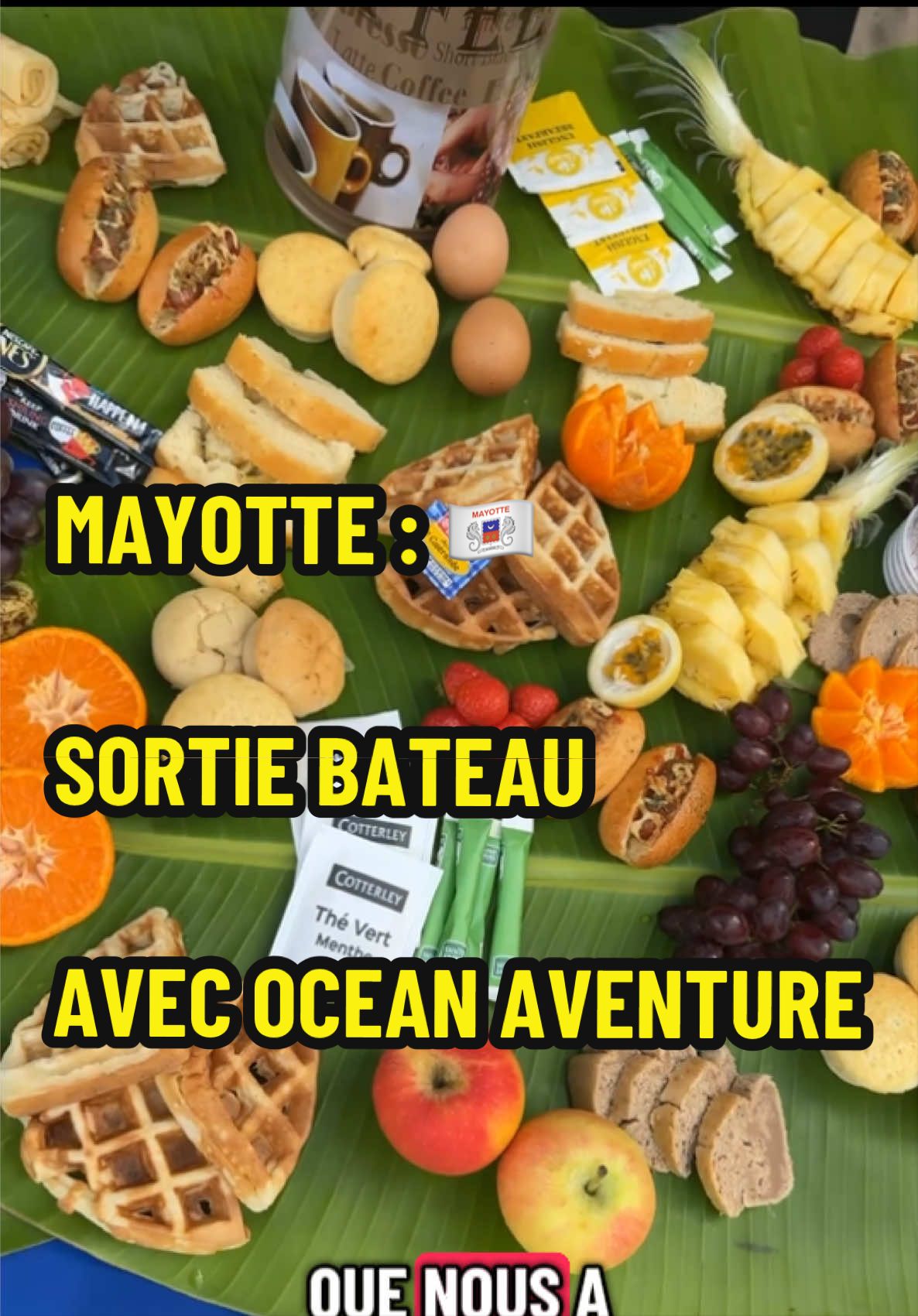 @archi_voyages ☀️🌴🐠🐢🛩️