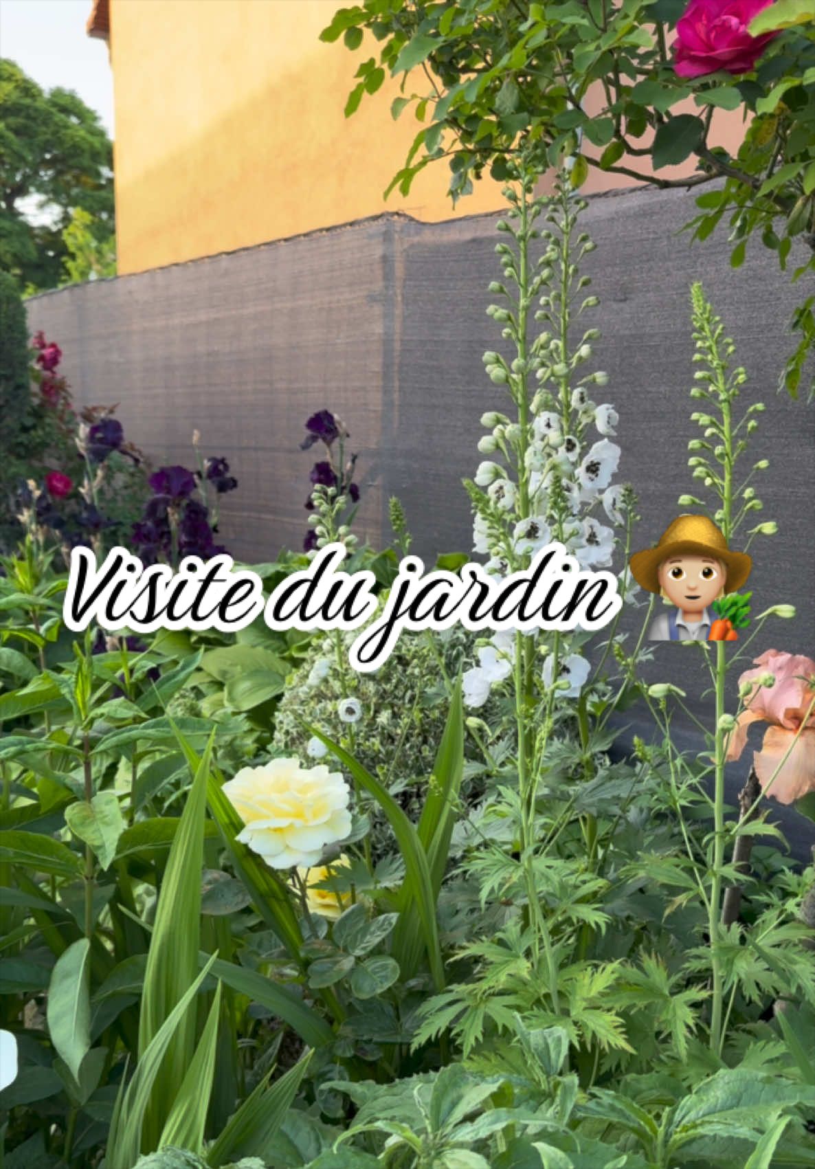 @Jardin de Rémi