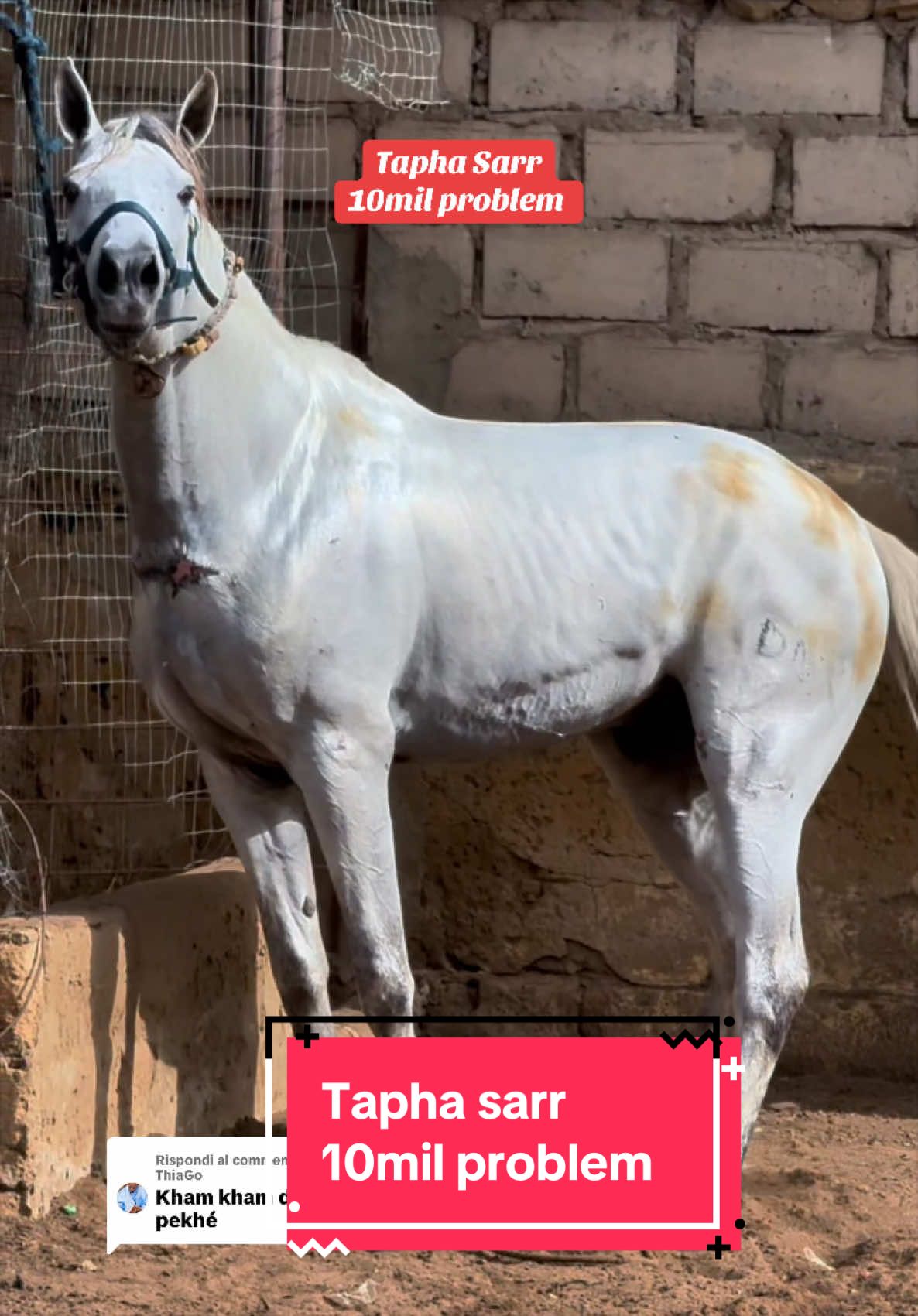 @10milproblem
