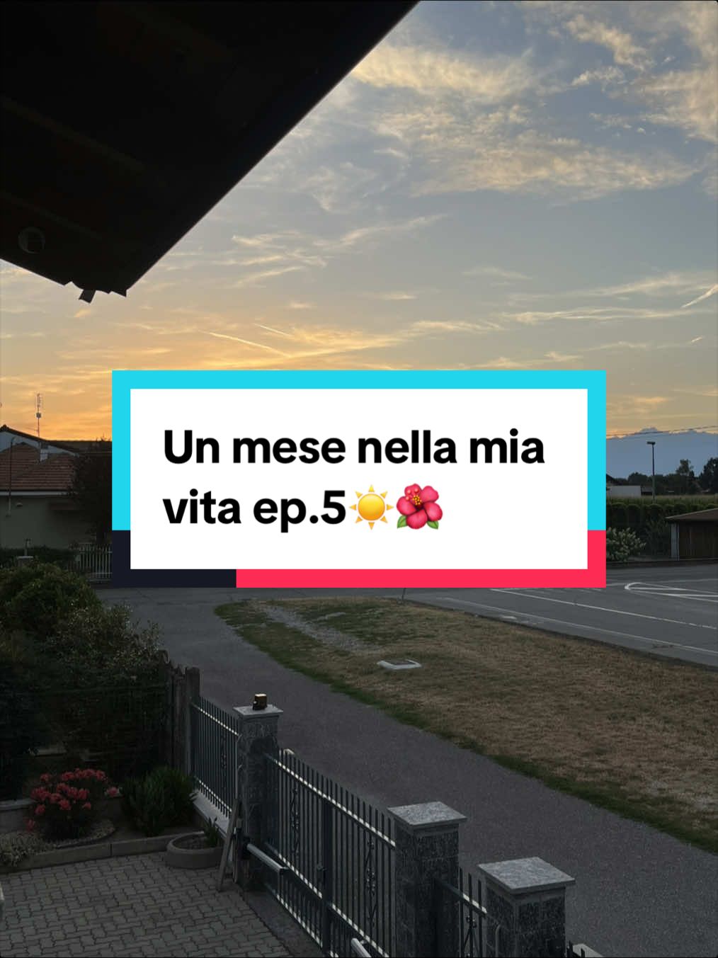 @Aly🌺
