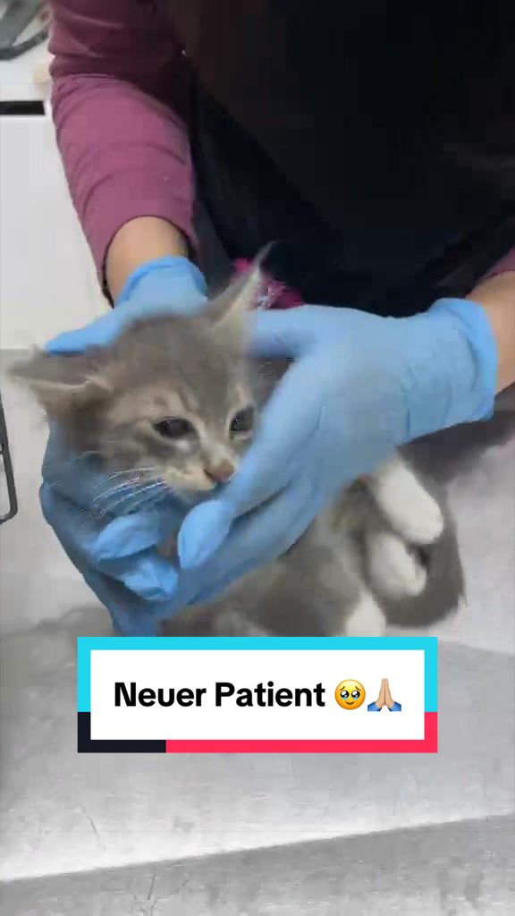 @BluePanther💙