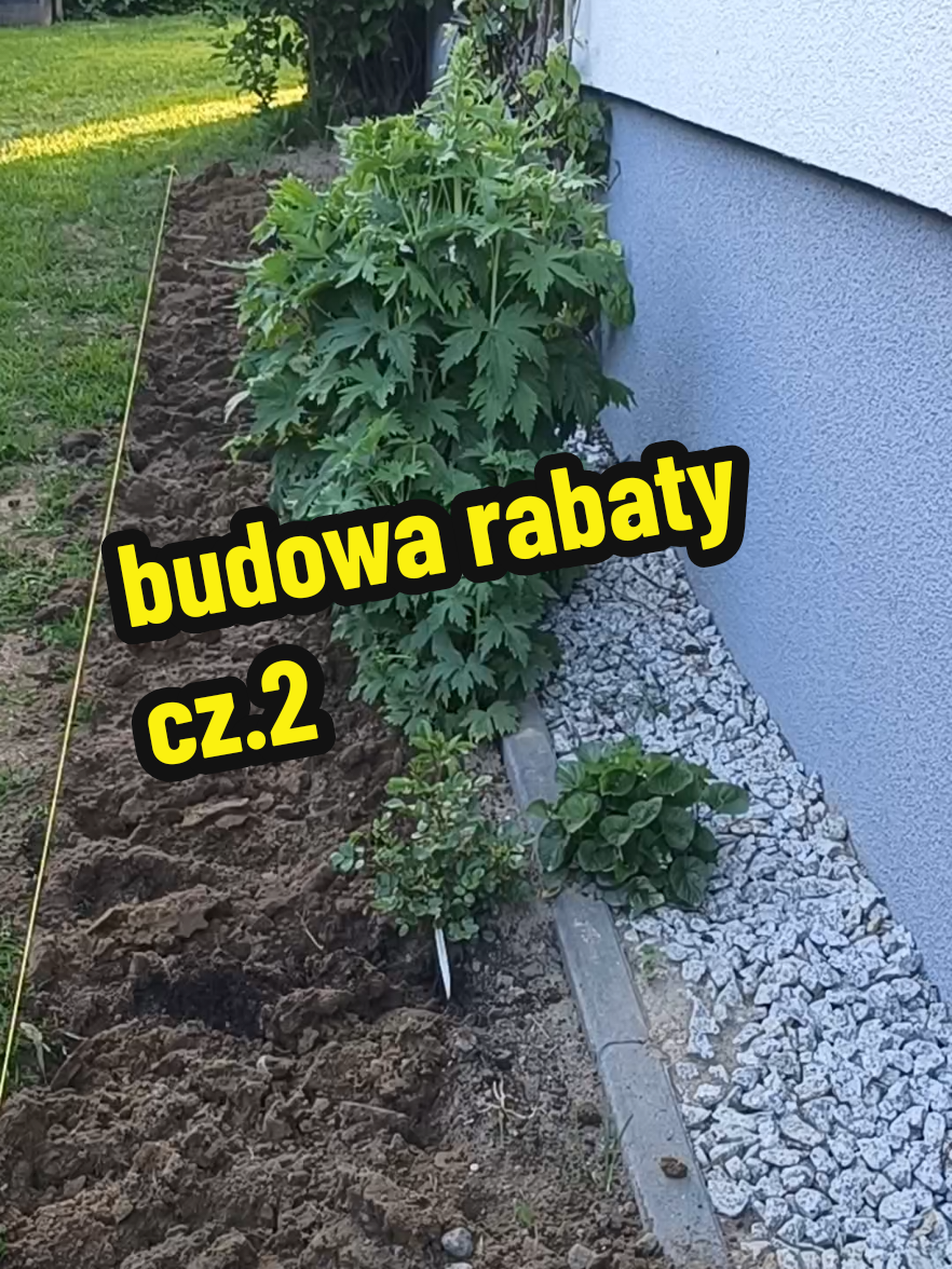 @Marcin ogrodnik