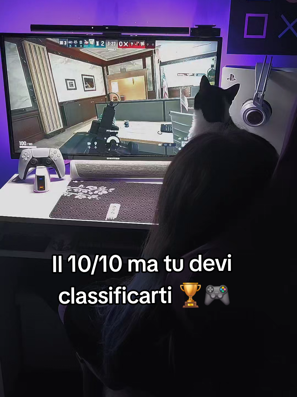@Rin 🎮
