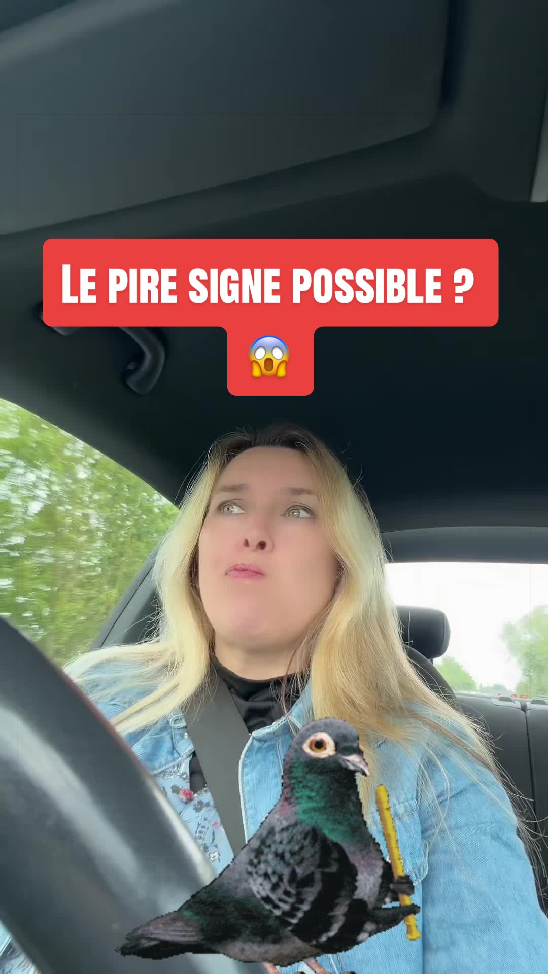 @DivaEnCarton