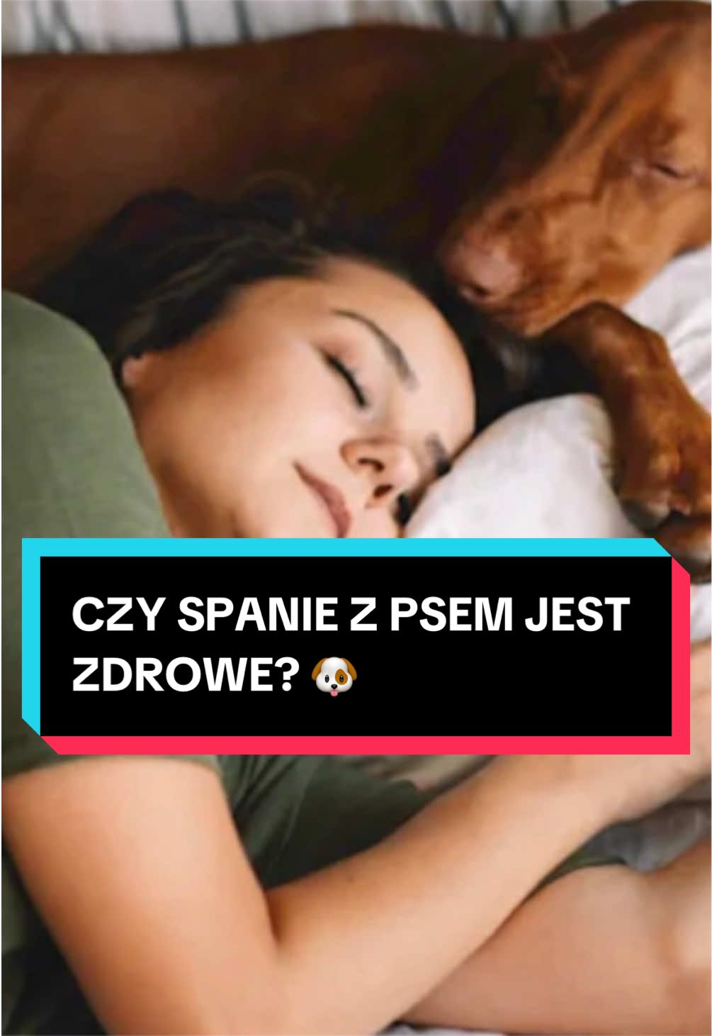 @pandawojtekyt