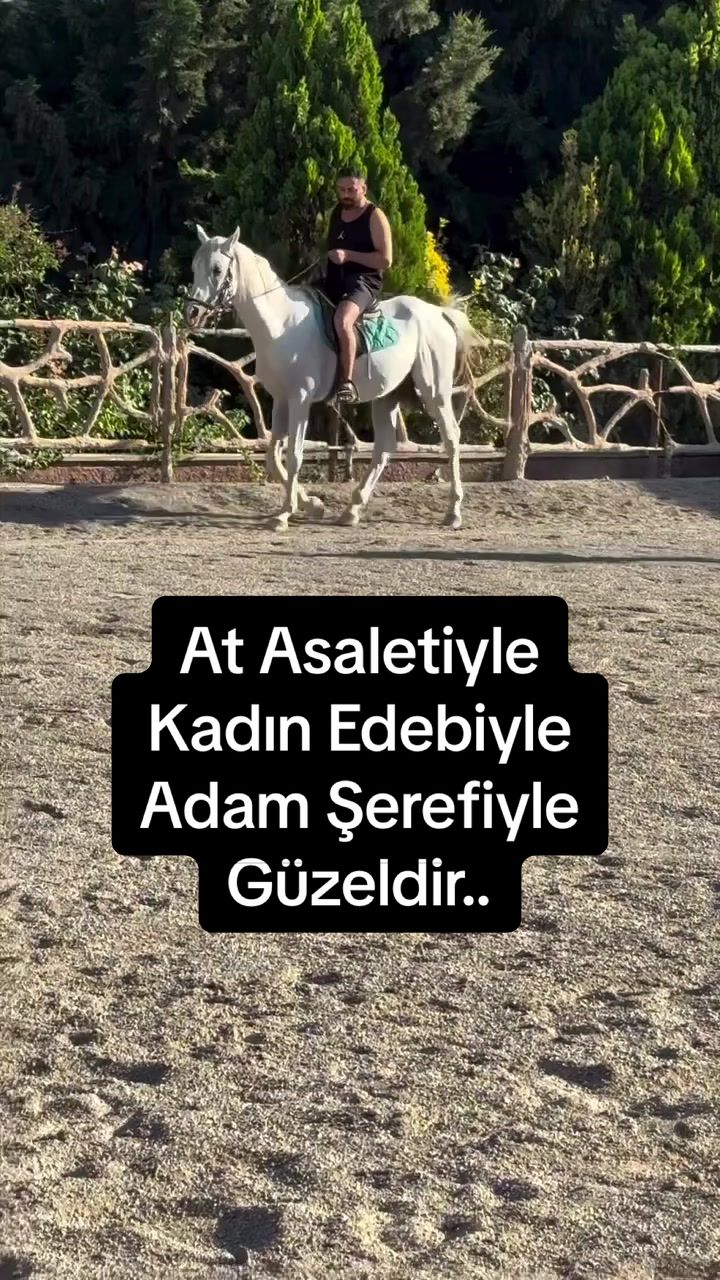 @H A L i L   F E S L İ  💎